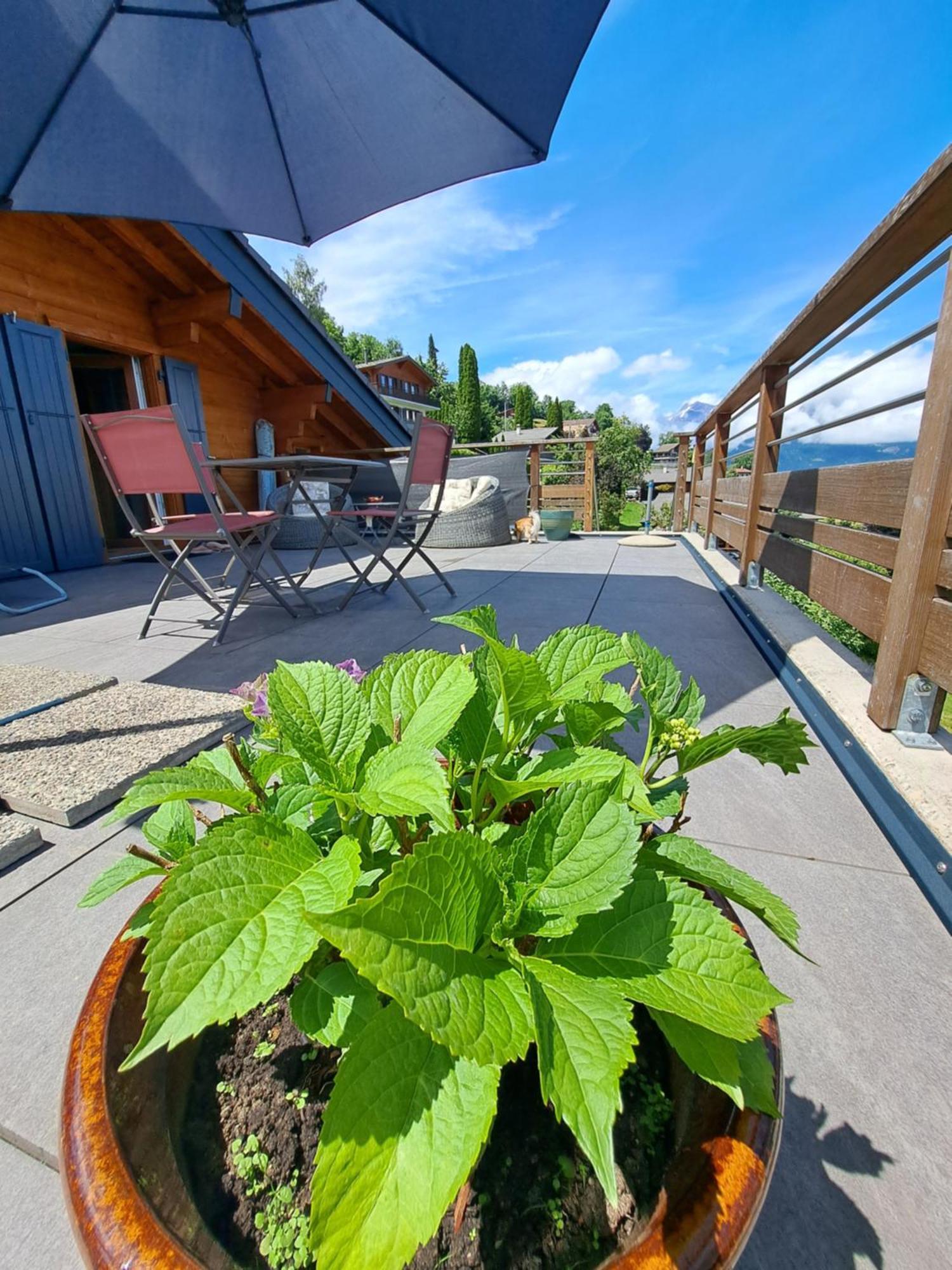 Alt'O Martinets Guest House Nendaz Exterior photo